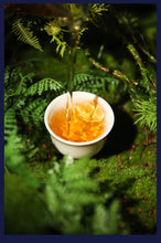 Charger l'image dans la galerie, 2025 XiaGuan "Da Xue Shan + Wu Liang Shan · Mi Jing - Long Zhu" (Big Snow Mountain + Wuliang Mountain · Secret Place ~ 18 Yr Aged ~ LinCang + Pu'Er Region - Dragon Ball) Tuo 160g/Box Puerh Raw Tea Sheng Cha