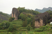 Load image into Gallery viewer, Spring Oolong "Rou Gui - Ma Tou Yan" (Ma Rou / Zheng Yan - Rou Gui), S++ Grade Loose Leaf, Wuyi Yancha, Rock / Cliff Oolong Tea Wuyi Core Mountain
