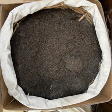 Charger l'image dans la galerie, 1998 WuZhou "Gui Qing Zhong - Liu Bao" (Guiqing Variety - Liubao) S Grade Loose Leaf Dark Tea, Guangxi, Liu Pao