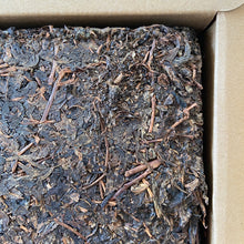 Load image into Gallery viewer, 2017 XiangYi Fu Tea "20th Year of HongKong’s Return" Brick 980g Dark Tea, Fu Cha, Hunan