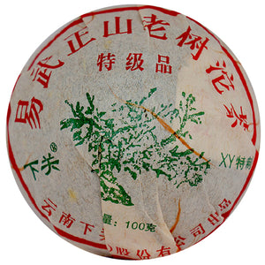 2010 XiaGuan "Yi Wu Zheng Shan" Tuo 100g Puerh Sheng Cha Raw Tea - King Tea Mall