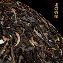 Load image into Gallery viewer, 2022 MengKu RongShi "Mu Shu Cha" (Mother Tree) Cake 8g / 200g / 500g Puerh Raw Tea Sheng Cha