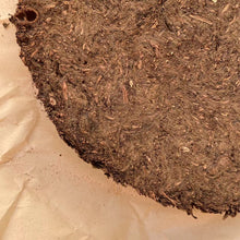 Load image into Gallery viewer, 2009 AnHua "Qian Liang Cha" Cake Around 750g, Dark Tea, Hunan Province.