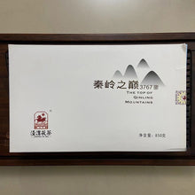 Load image into Gallery viewer, 2018 JingWei Fu Tea "Qin Ling Zhi Dian" (The Top of Qingling Mountains) Brick 850g Dark Tea, Fu Cha, ShaanXi