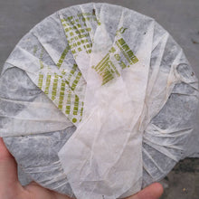 Load image into Gallery viewer, 2006 ChangTai "Chang Tai Hao - Ye Sheng Ji Pin - Bu Lang" ( Wild Premium - Bulang)  Cake 400g Puerh Raw Tea Sheng Cha