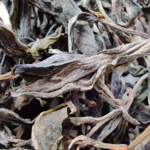 [Sold Out] 2020 KingTeaMall Spring "Bang Dong Gu Shu" (Bangdong Old Tree) Loose Leaf Puerh Raw Tea Sheng Cha