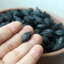Load image into Gallery viewer, Olive / Black Olive / Longan /Walnut Shell Charcoal, Fire Starter Charcoal / Kindling Charcoal, for Heating Water, Chaozhou Gongfu Tea Tools
