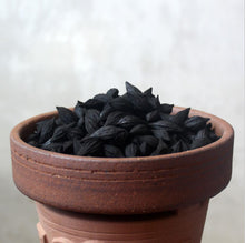 Load image into Gallery viewer, Olive / Black Olive / Longan /Walnut Shell Charcoal, Fire Starter Charcoal / Kindling Charcoal, for Heating Water, Chaozhou Gongfu Tea Tools