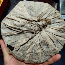 Load image into Gallery viewer, 2001 Liming "431301" (Green Mark) Cake 357g Puerh Raw Tea Sheng Cha