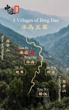 Charger l'image dans la galerie, 2022 Xiaguan "Nan Po - Gu Shu - Bing Dao" (Nanpo - Old Tree - Bingdao) Cake 357g Puerh Raw Tea Sheng Cha