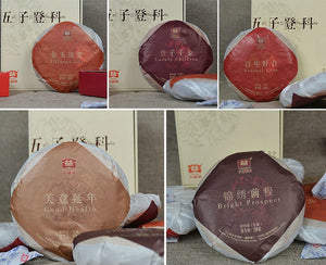 2013 DaYi "Wu Zi Deng Ke" ( 5 Sons ) Cake 150g Puerh Sheng Cha Raw Tea - King Tea Mall