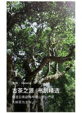 Laden Sie das Bild in den Galerie-Viewer, 2018 DaYi "Yun Qi" (Rising Cloud) Cake 150g / 357g Puerh Sheng Cha Raw Tea - King Tea Mall