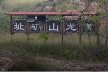Load image into Gallery viewer, Yixing "He Dou" Teapot 120cc "Qing Shui Ni" Mud - King Tea Mall