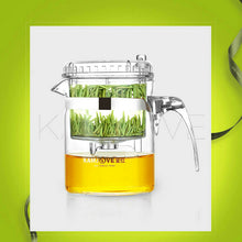 Load image into Gallery viewer, KAMJOVE Tea Infusers Teapot " Piao Yi Bei "  ( 200ml~) - King Tea Mall
