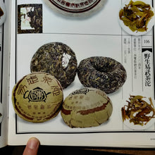 Load image into Gallery viewer, 2004 ChangTai "Chang Tai Hao - Ye Sheng Ji Pin - Yi Wu" ( Wild Premium - Yiwu)  Tuo 250g Puerh Raw Tea Sheng Cha