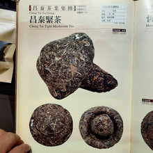Load image into Gallery viewer, 2005 ChangTai "Lao Chen De Cha - Bu Lang" (Bulang Tuo) 250g Puerh Raw Tea Sheng Cha
