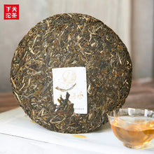 Load image into Gallery viewer, 2019 Xiaguan "Jing Mai Xun Xiang - Gu Shu" (Jingmai Aroma- Old Tree) 357g Puerh Raw Tea Sheng Cha