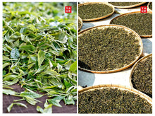 Load image into Gallery viewer, yunnan china tea chinese tea gongfucha pu-erh puer pu&#39;erh  2021 XiaGuan &quot;Dan Ba Ge Lie - Bu Lang Gu Shu&quot; (Bulang Old Tree) Mushroom Tuo 250g Puerh Sheng Cha Raw Tea