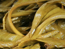 Charger l'image dans la galerie, 2022 XiaGuan "Te Tuo" (Special Tuo) 100g*5=500g Puerh Raw Tea Sheng Cha