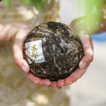 將圖片載入圖庫檢視器 yunnan china tea chinese tea gongfucha pu-erh puer pu'erh 2021 Xiaguan "Bing Dao" (Bingdao - Old Tree - Lincang ) Tuo 280g Puerh Raw Tea Sheng Cha