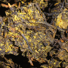 Load image into Gallery viewer, 2012 JingWei Fu Tea "Qi Zi Fu Cha" Brick 357g Dark Tea, Shaanxi