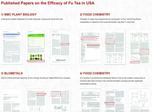 Load image into Gallery viewer, 2012 JingWei Fu Tea "Qi Zi Fu Cha" Brick 357g Dark Tea, Shaanxi