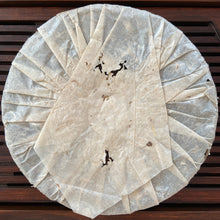 Load image into Gallery viewer, 2004 CheShunHao "Rui Gong Tian Chao" (Yiwu Mountain Tea) Cake 400g Puerh Raw Tea Sheng Cha