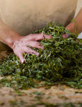 Load image into Gallery viewer, 2021 DaYi "Wu Zi Deng Ke" ( 5 Sons ) Cake 150g*5pcs Puerh Shou Cha Ripe Tea