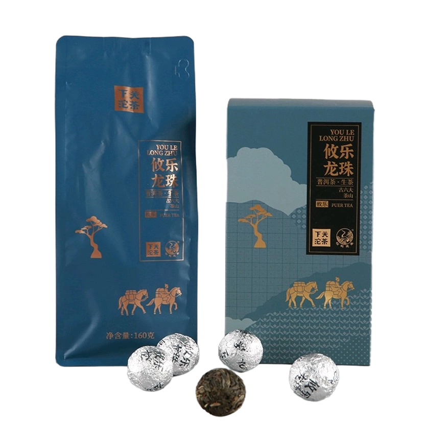 2025 XiaGuan 