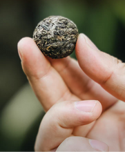 Load image into Gallery viewer, Hand holding a spherical green tea cake with Chinese text on a blurred natural background