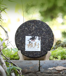 2025 Xiaguan "Sheng Li" (Victory - 20 Years' aged Tea Material) Iron Cake 450g Puerh Raw Tea Sheng Cha