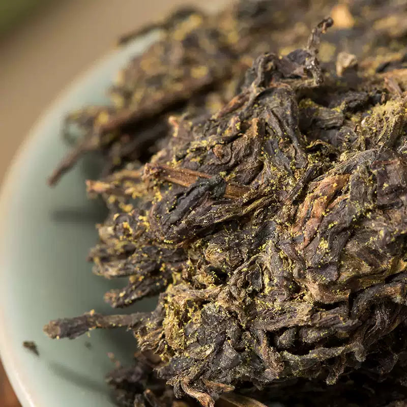 茶 fuwafuwa 2019 CNNP - AnHua 