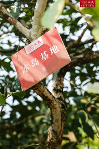 2024 MengKu RongShi "Bing Dao - Lao Zhai Gu Shu" (Bingdao - Laozhai Region Old Tree) 200g Puerh Raw Tea Sheng Cha