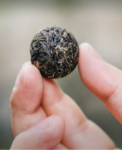 2025 XiaGuan "Man Sa - Long Zhu" (Mansa - Yiwu Region - Dragon Ball) Tuo 160g/Box Puerh Raw Tea Sheng Cha, Banna Region