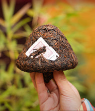 Load image into Gallery viewer, 2026 XiaGuan "Shi Dai Cha Yuan - Yi Wu + Bing Dao + Yan Zi Tou" (Generations of Tea Connection - Yiwu + Bingdao + Yanzitou) Mushroom Tuocha 280g Puerh Ripe Tea Shou / Shu Cha