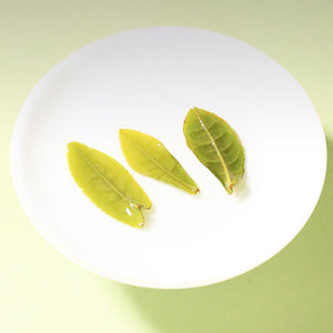 2025 Hui Liu "Lu An Gua Pian - Te Er Ji" (lu'an Guapian - Special 2nd Grade) 50g/Tin, Green Tea, Lv Cha, AnHui Province.