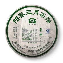 Load image into Gallery viewer, 2008 DaYi Chun Shui (Spring) Cake 357g Puerh Sheng Cha Raw Tea