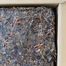 Charger l'image dans la galerie, 2017 XiangYi Fu Tea 20th Year of HongKong’s Return Brick 980g Dark Tea, Fu Cha,  - photo 9