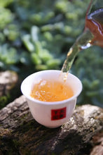 Load image into Gallery viewer, 2023 XiaGuan Yu Tu - Gu Shu (Jade Rabbit - Old Tree) White Tea Iron Cake, Gift B - photo 8