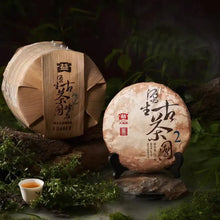 Load image into Gallery viewer, 2025 DaYi "Yuan Sheng Gu Cha Yuan - Da 2" (Primal Ancient Tea Garden - Big 2) Cake 357g Puerh Sheng Cha Raw Tea, 1st Batch - King Tea Mall - photo 2