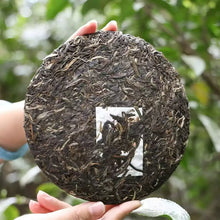 Load image into Gallery viewer, 2025 Xiaguan "Cang Er Jin Bing - Bu Lang + Yi Wu + Yan Zi Tou + Jing Gu + Jing Mai" (Cang'er Golden Cake - Bulang + Yiwu + Yanzitou + Jinggu + Jingmai) 357g Puerh Raw Tea Sheng Cha - King Tea Mall - photo 2