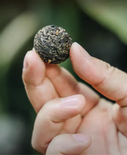 Load image into Gallery viewer, 2025 XiaGuan "Yi Bang - Long Zhu" (Yibang - Yiwu Region - Dragon Ball) Tuo 160g/Box Puerh Raw Tea Sheng Cha, Banna Region - King Tea Mall - photo 2