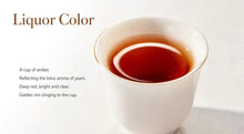 Load image into Gallery viewer, 2025 DaYi "Jin Zhen Bai Lian" (Golden Needle White Lotus) 250g Cake, 1st Batch, Puerh Shou / Shu Cha Ripe Tea