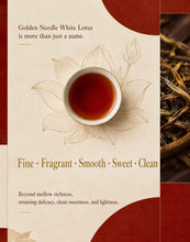 Load image into Gallery viewer, 2025 DaYi "Jin Zhen Bai Lian" (Golden Needle White Lotus) 250g Cake, 1st Batch, Puerh Shou / Shu Cha Ripe Tea