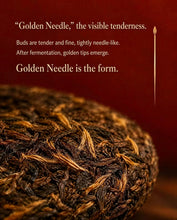 Load image into Gallery viewer, 2025 DaYi "Jin Zhen Bai Lian" (Golden Needle White Lotus) 250g Cake, 1st Batch, Puerh Shou / Shu Cha Ripe Tea