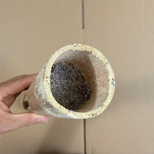 Load image into Gallery viewer, 2010 "Zhu Tong Cha - Na Ka" (Bamboo Tube Tea from Naka) 500g Puerh Raw Tea Sheng Cha
