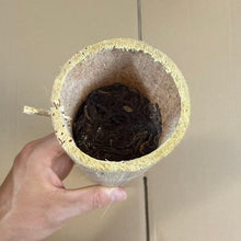 Load image into Gallery viewer, 2010 "Zhu Tong Cha - Na Ka" (Bamboo Tube Tea from Naka) 500g Puerh Raw Tea Sheng Cha