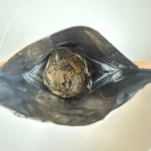 Load image into Gallery viewer, 2024 KingTeaMall "2014 Chen Pi + 2019 Shou Mei Bai Cha" (2014 Aged Tangerine Peel + 2019 Shou Mei White Tea) Hybrid Ball ~5.0g