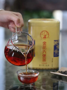 2020 Sanhe "Liu Bao - Jin Hua - Te Ji" (Liubao - Golden Flower - Special Grade) Loose Leaf, 200g/Tin Dark Tea,  Wuzhou, Guangxi