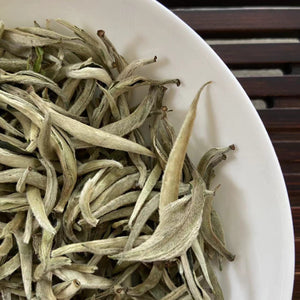 2024 Early Spring White Tea "Da Bai Ya - Yue Guang Bai" (Giant White Bud - Moonlight) A++ Grade, Loose Leaf Tea, JingGu BaiCha, YunNan Province.